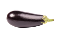 Eggplant